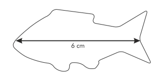Форма для печенья DELICIA Рыбка, арт. 631060
