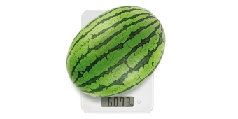 Цифровые кухонные весы ACCURA 15,0 кг, арт. 634514