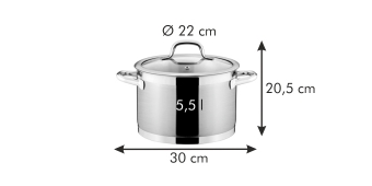 Кастрюля PRESIDENT с крышкой d 22 cm, 5.5 л, арт. 780224