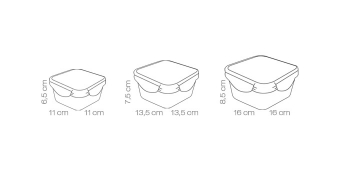 Квадратные rонтейнеры в наборе FRESHBOX 0.4, 0.7 и 1.2 л., арт. 892040